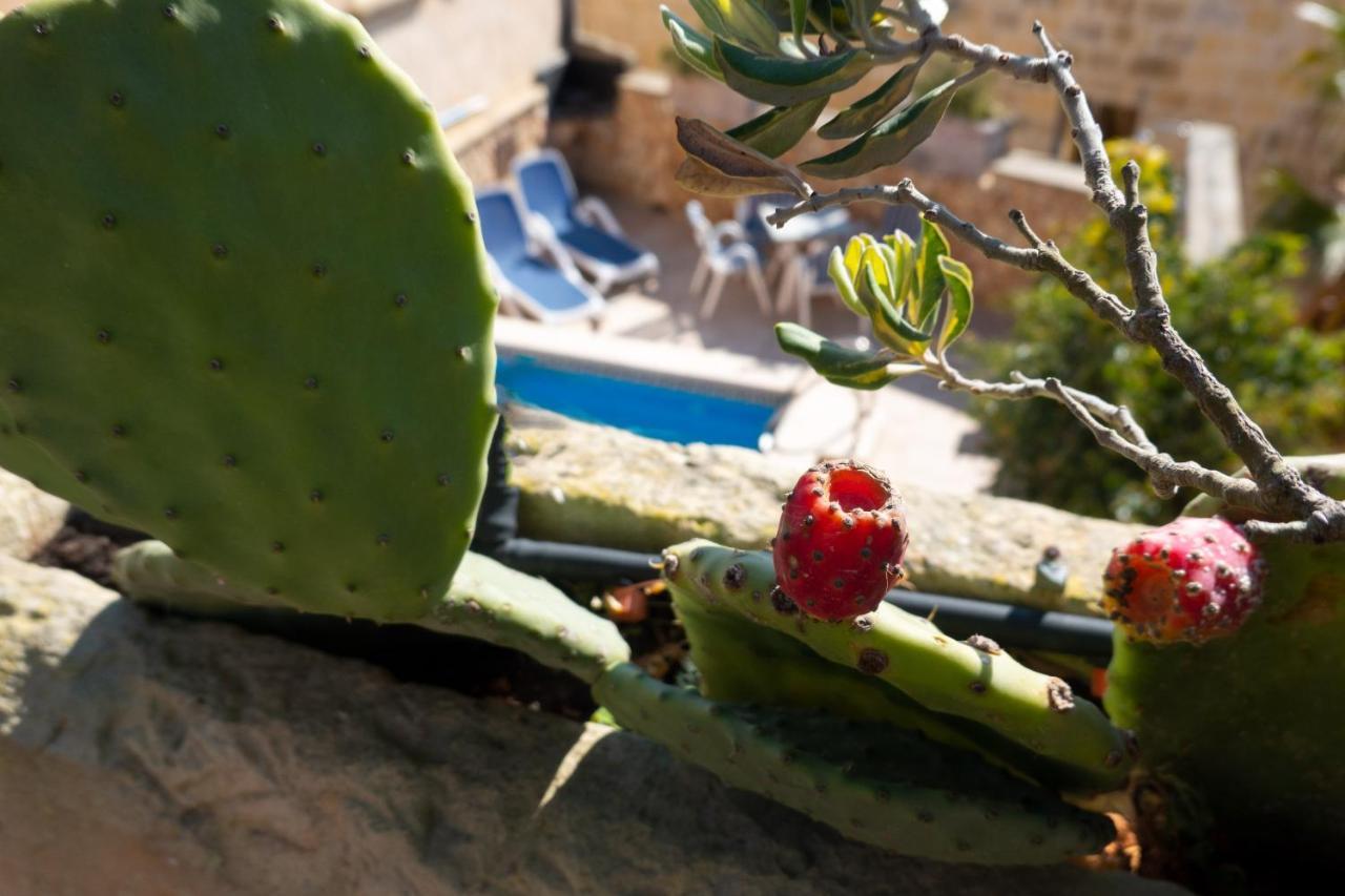 Prickly Pear Holiday Home No.1 San Lawrenz Buitenkant foto